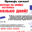5 - Издательский дом Ветлужский край
