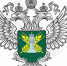 Костромской суд подтвердил законность и обоснованность выданного Управлением Россельхознадзора предписания об устранении нарушений земельного законодательства - Администрация городского округа