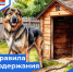 Уважаемые жители г. Шарья, владельцы собак! - Администрация городского округа