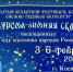 Фестиваль-конкурс снежных и ледовых скульптур «Кострома - зимняя сказка». - Администрация городского округа